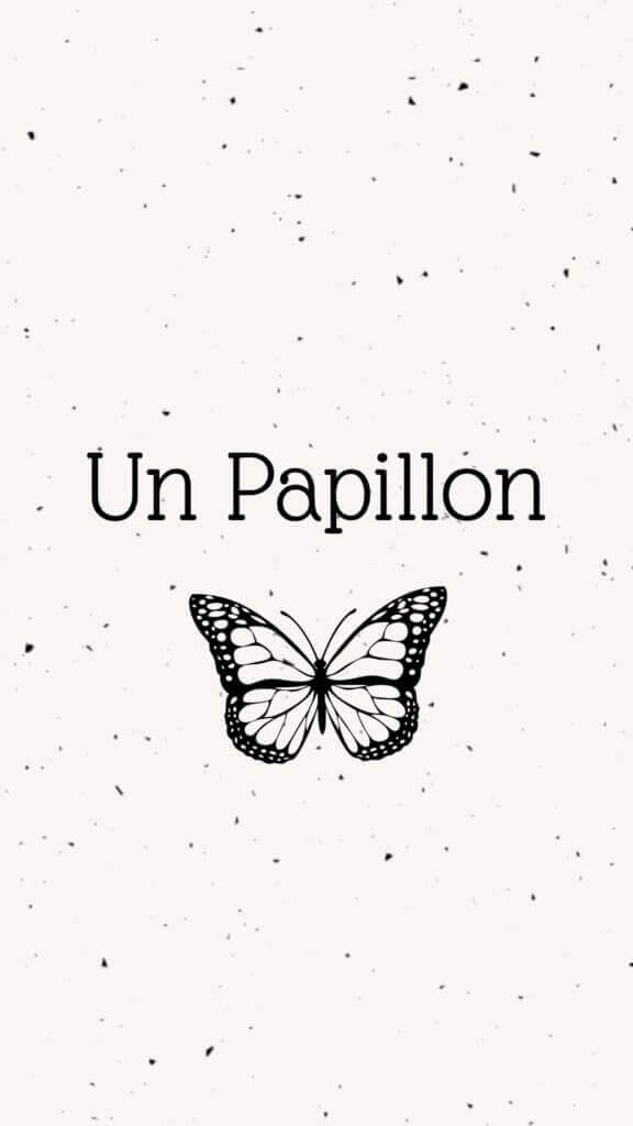 Un papillon